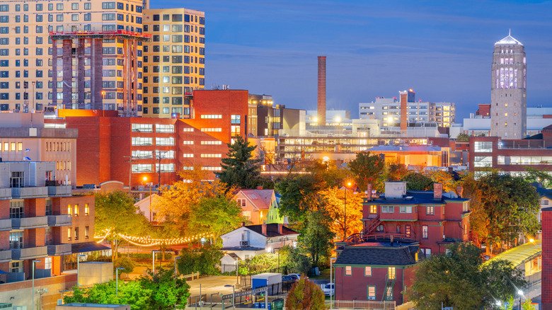 Ann Arbor skyline